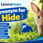 Synonyms for hide including conceal, cover, mask, and stash